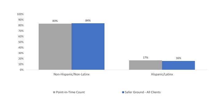 Bar graph showing Safer Ground: Demographics - Ethnicity​