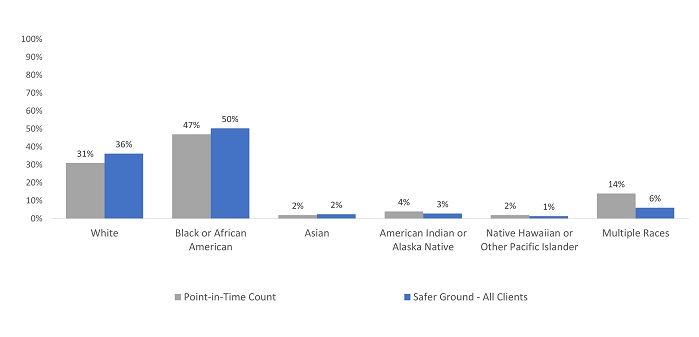 bar graph showing Safer Ground: Demographics - Race​