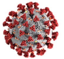 Illustration of the COVID-19 virus