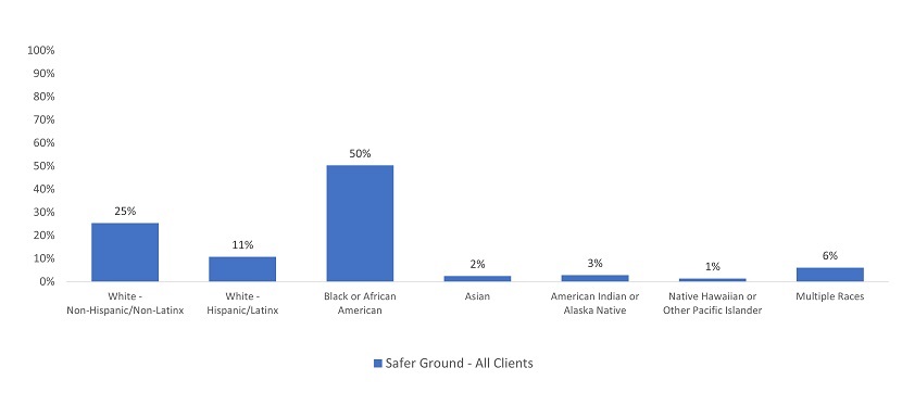 Bar graph showing Safer Ground Demographics