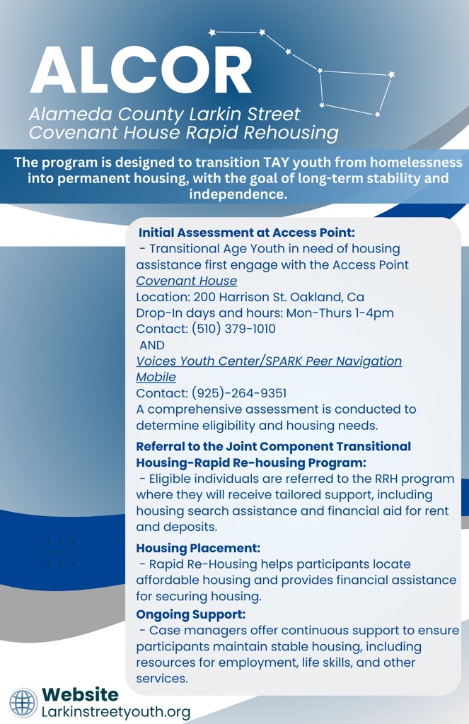 Peer Navigation program flyer