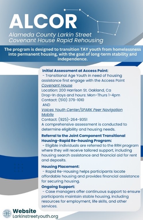 Peer Navigation program flyer