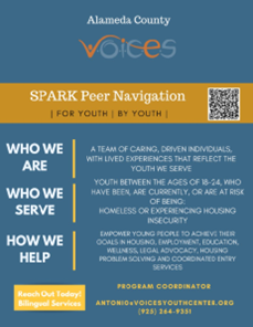 Peer Navigation program flyer